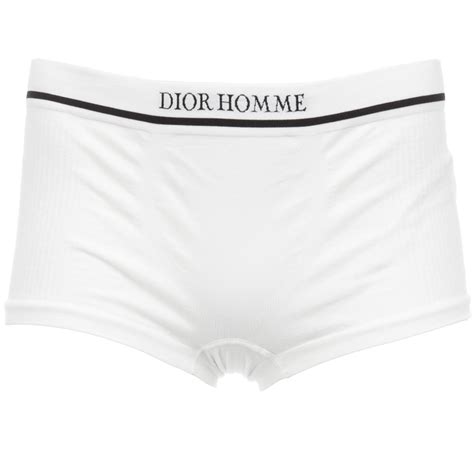 dior homme underwear toabo|Dior white viscose briefs.